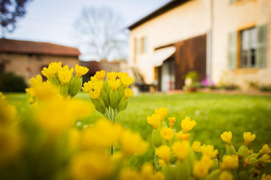 Bed and breakfast Aux Ronzieres